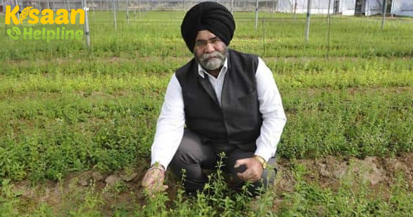 भारत में औषधीय पौधे की खेती, एक लाभदायक एग्रीबिजनेस भारत में औषधीय पौधे की खेती, एक लाभदायक एग्रीबिजनेस